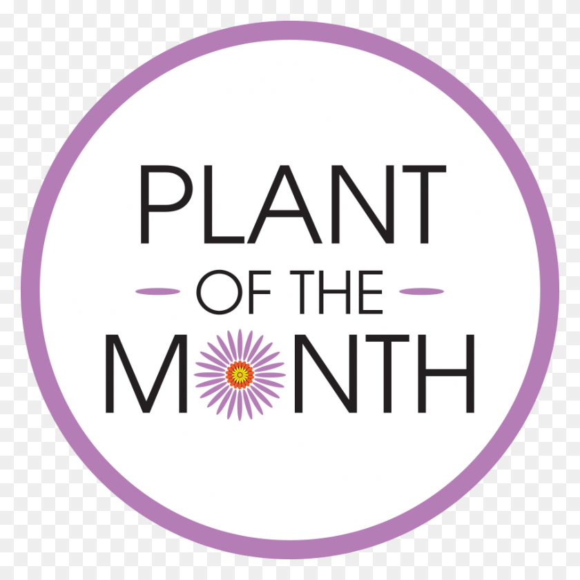 847x847 Plant Of The Month Circle, First Aid, Label, Text HD PNG Download