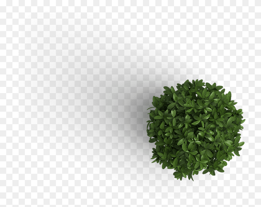 741x607 Plant Top View, Potted Plant, Vase, Jar HD PNG Download
