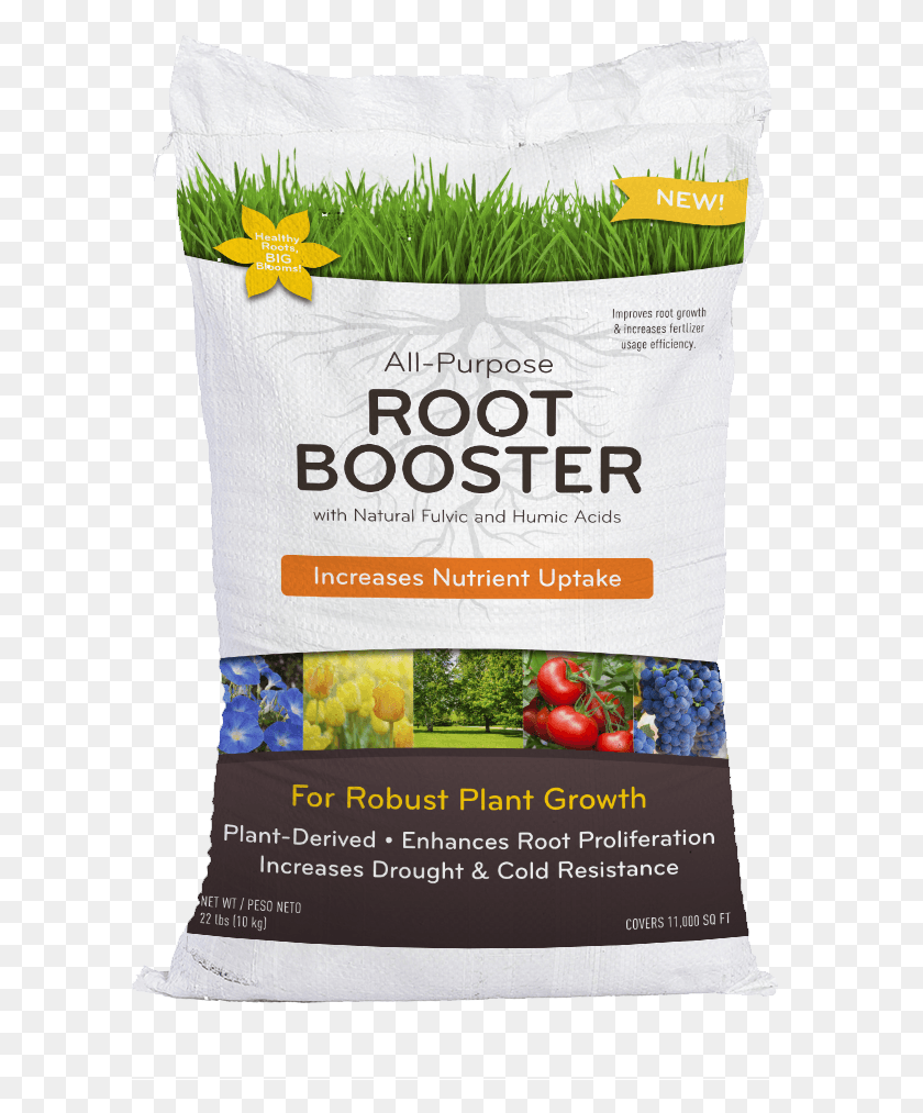 601x953 Plant With Roots Fertilizer For Root Growth, Food, Vegetable, Produce HD PNG Download