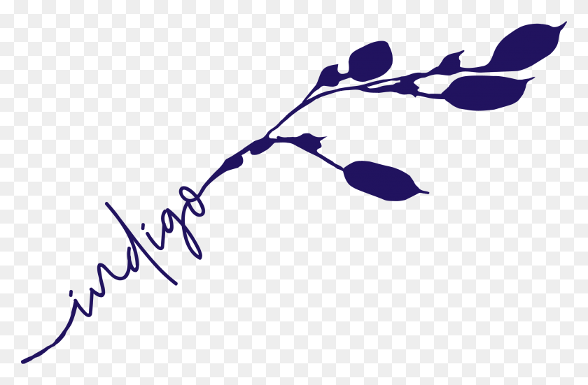 2674x1684 Plant Your Roots Indigo Plant Logo, Text, Handwriting, Signature HD PNG Download