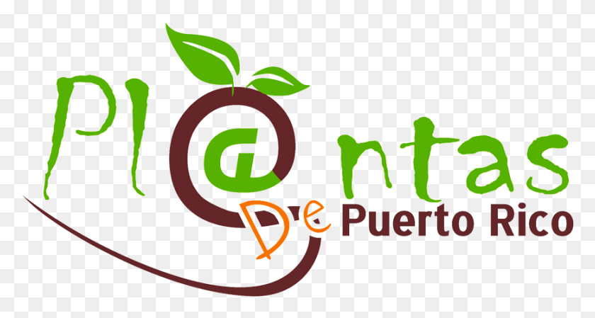 866x432 Plantas Plantas De Sol В Пуэрто-Рико, Текст, Число, Символ Hd Png Скачать