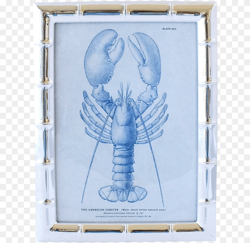 626x819 Plantation Bamboo Frame Homarus, Animal, Food, Invertebrate, Lobster PNG