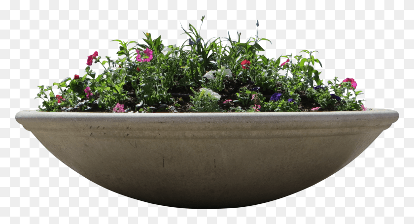 2493x1265 Planter Boxes Elevation, Potted Plant, Plant, Vase HD PNG Download