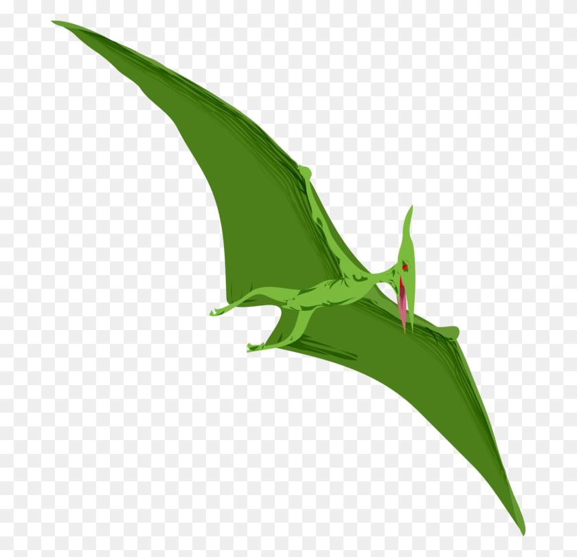 691x750 Plantfloraleaf Pterodactyl, Anole, Dragon, Animal HD PNG Download