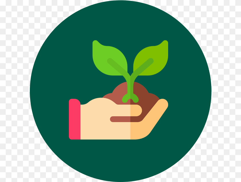 Planting Care Design Language, Herbal, Herbs, Leaf, Plant Clipart PNG