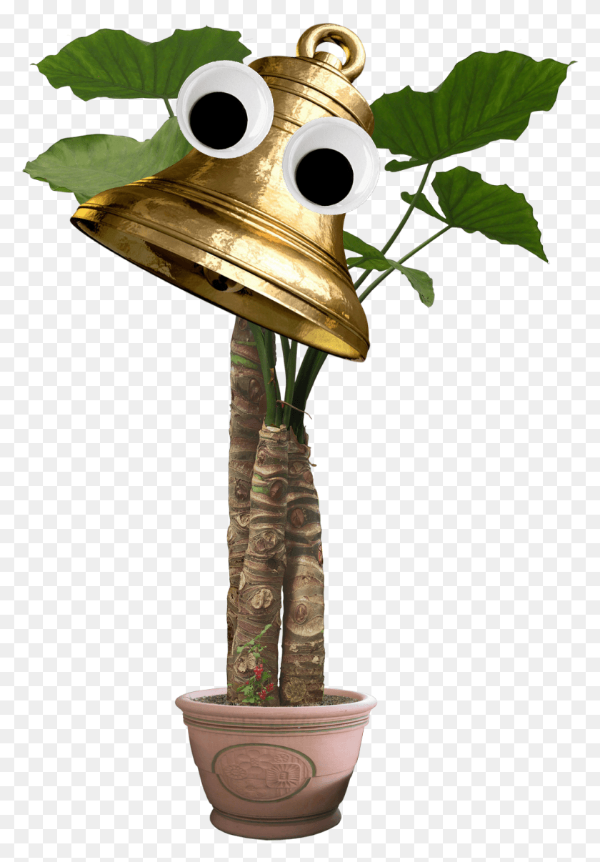 997x1466 Plantas, Cruz, Símbolo, Planta Hd Png