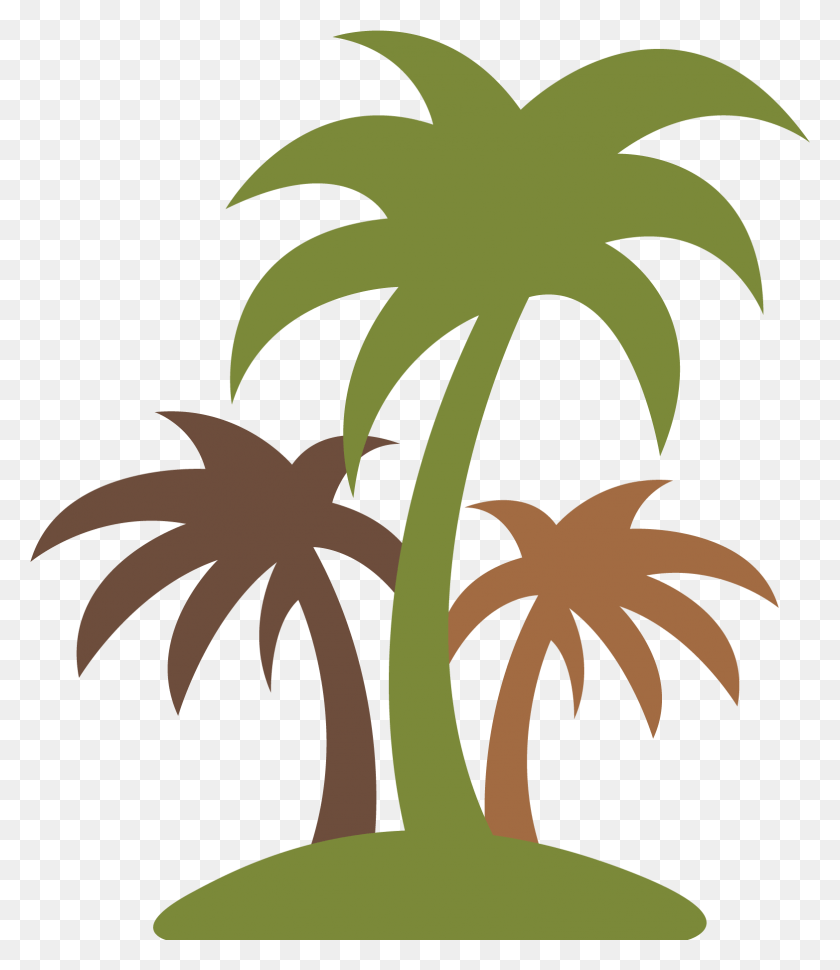 1565x1827 Plants Clipart Coconut Tree Coconut, Plant, Tree, Palm Tree HD PNG Download