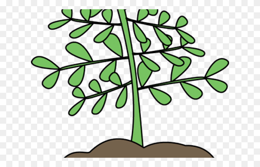 640x480 Plants Clipart Cute Photosynthesis Clip Art, Leaf, Plant, Scissors HD PNG Download