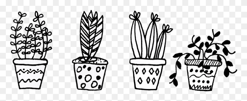 789x288 Plants Flowerpot Cacti Flowers Transparent Flower Doodles, Jar, Plant, Stencil HD PNG Download