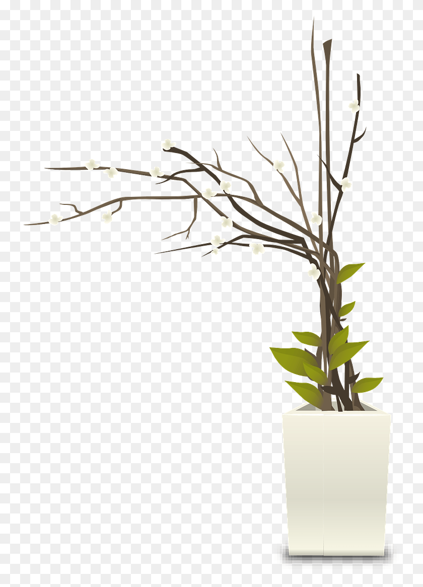 749x1106 Plants Pots White Houseplants Image Flower Pot Interior, Plant, Ikebana HD PNG Download