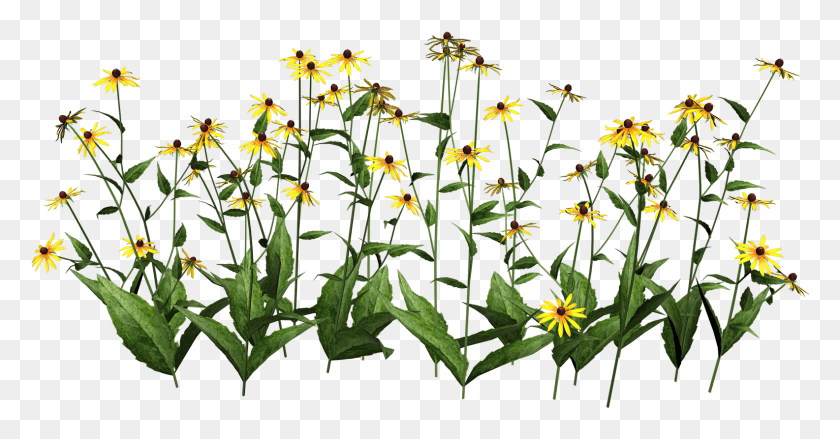 1585x771 Png Желтые Растения