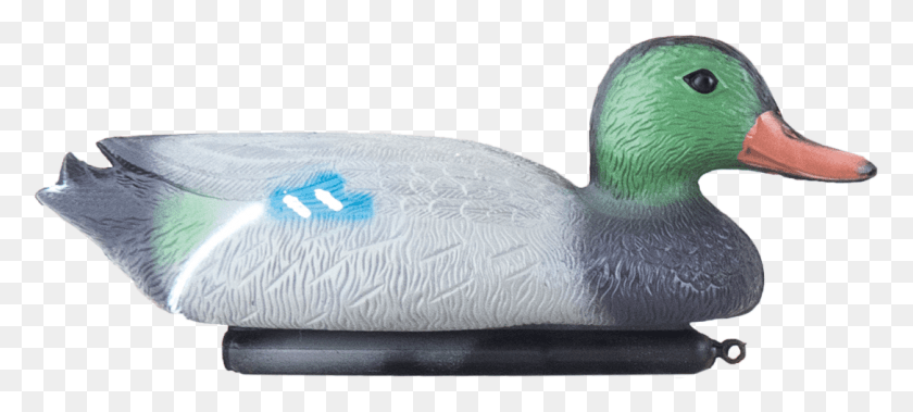 1086x445 Pato Png / Pato Real Hd Png