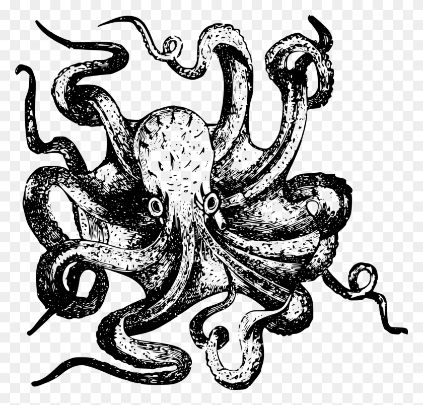 1200x1145 Plastic Network Spread Across Eight Tentacles Interview Octopus Ecstasy, Gray, World Of Warcraft HD PNG Download