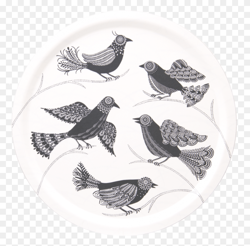 1003x984 Plate, Bird, Animal, Pigeon HD PNG Download