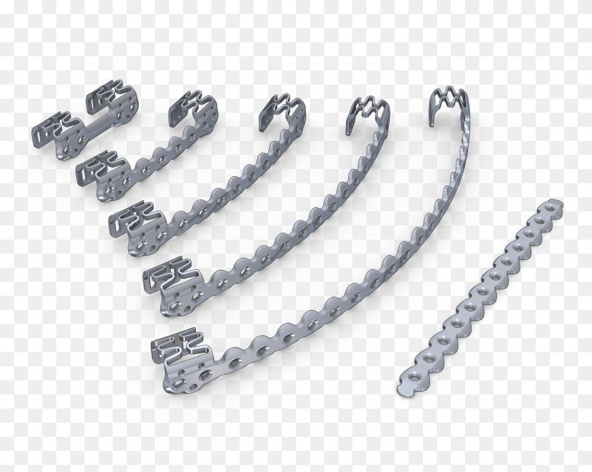 2428x1900 Plate Variety Chain, Bracelet, Jewelry, Accessories HD PNG Download
