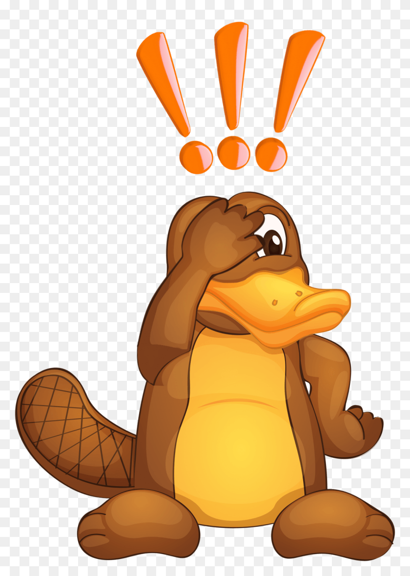 1098x1578 Platypus Exclamation Ornitorrinco, Animal, Mammal, Outdoors HD PNG Download
