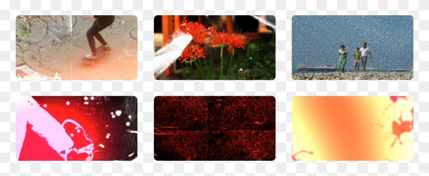 986x362 Please Watch The Grunge Fx Demo To Get An Idea Of Caesalpinia, Person, Human, Plant HD PNG Download