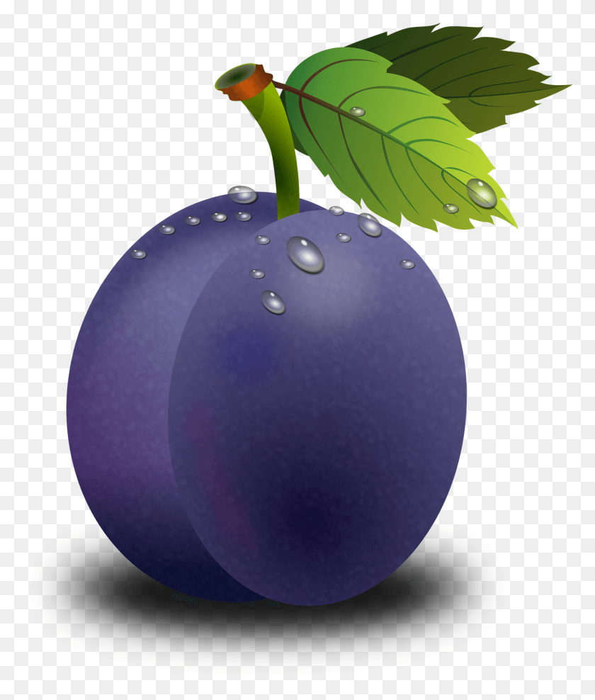 1480x1761 Plum Clipart Fruit, Plant, Food, Moon HD PNG Download