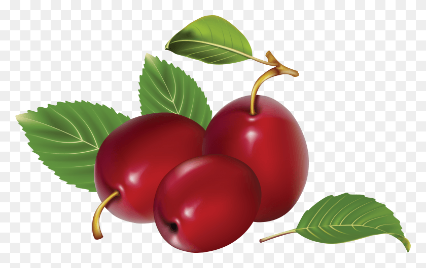 3368x2032 Plum Image Plums, Plant, Fruit, Food HD PNG Download