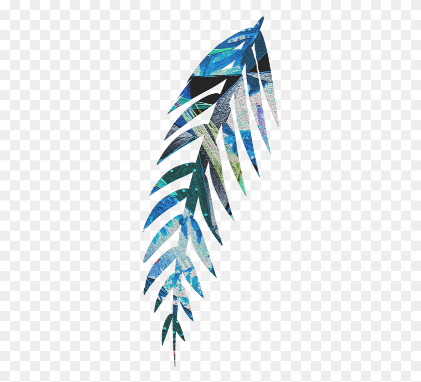277x702 Pluma Graphic Design, Graphics, Crystal HD PNG Download