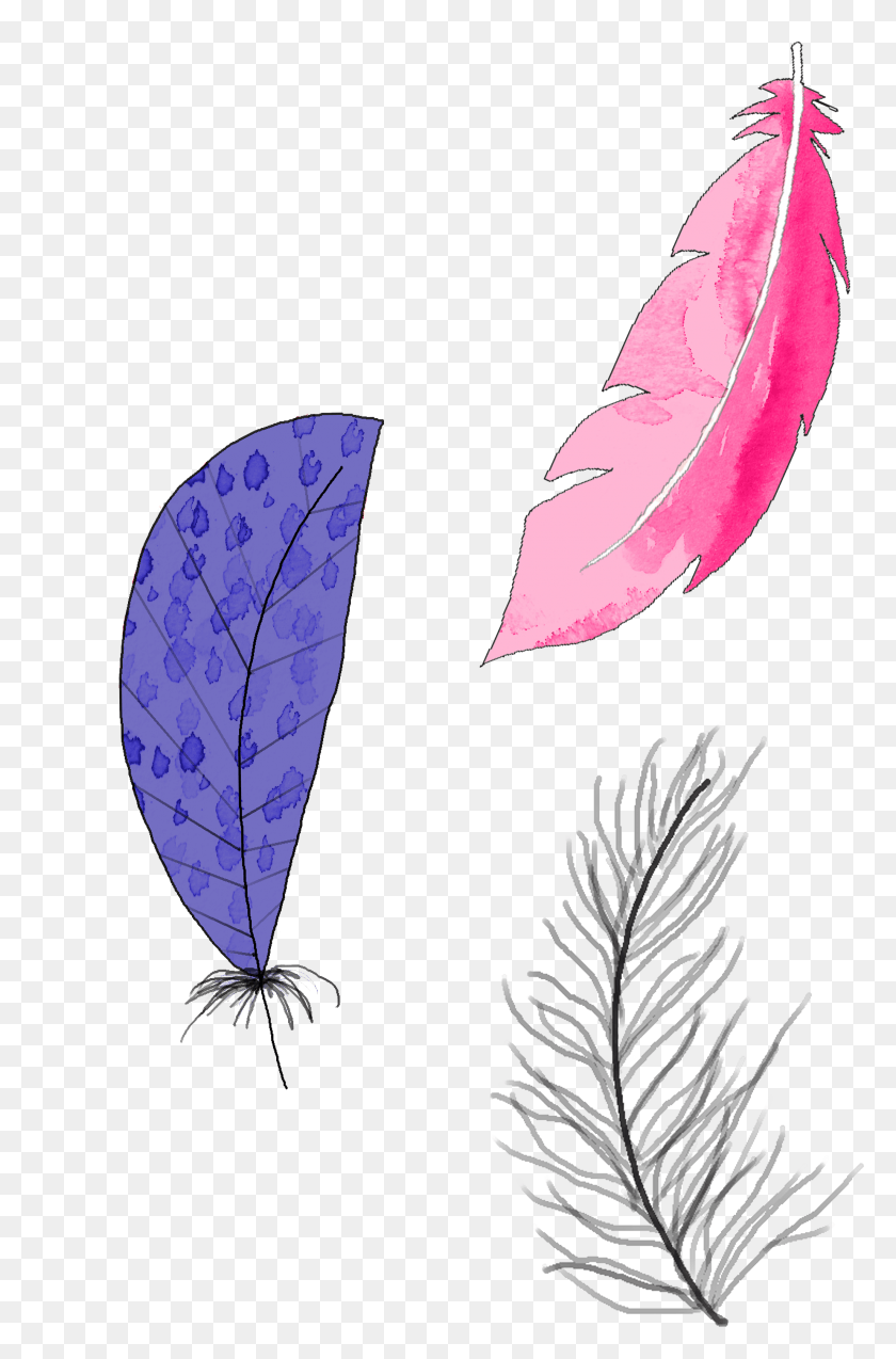 2054x3199 Слива, Лист, Растение, Фиолетовый Hd Png Скачать