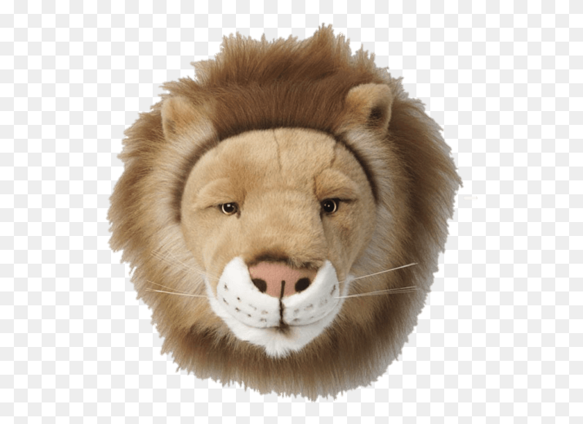 539x551 Плюшевая Голова Льва Украшение De Animais De Pelucia, Млекопитающее, Животное, Дикая Природа Hd Png Скачать