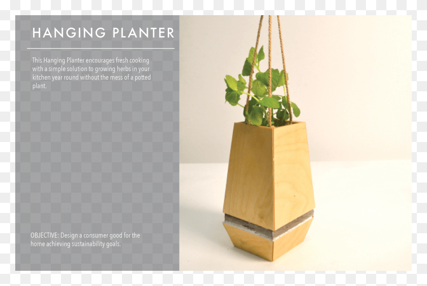 1920x1242 Plywood, Potted Plant, Plant, Vase HD PNG Download