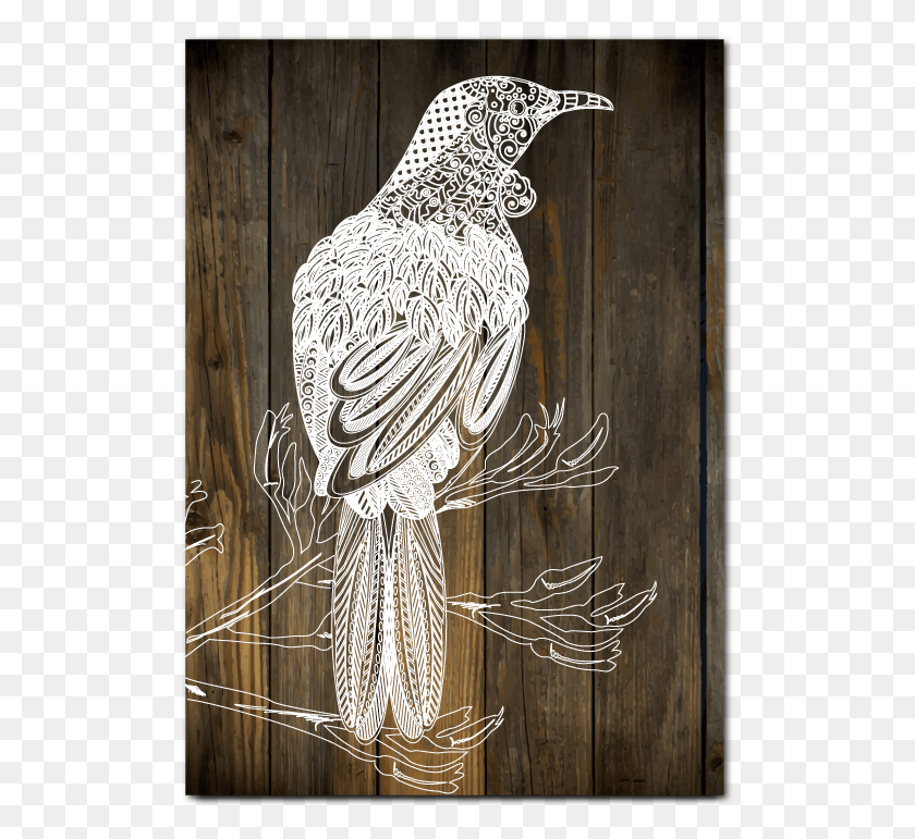 510x711 Plywood Art Rectangle Wood Tui, Text, Bird, Animal HD PNG Download