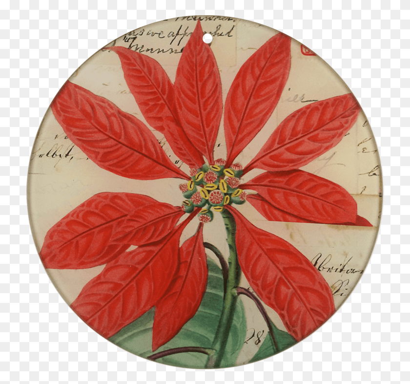 734x726 Poinsettia, Dish, Meal, Food HD PNG Download