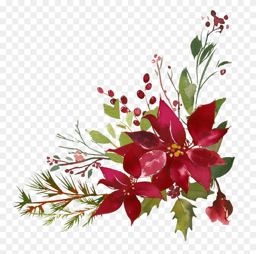 752x772 Пуансеттия Клипарт Процветает Акварель Рождественский Цветок, Растение, Цветочный Дизайн, Узор Hd Png Скачать