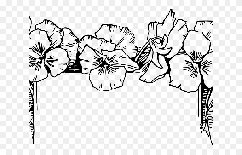 640x480 Poinsettia Clipart Top Border Flower Line Drawing Border, Gray, World Of Warcraft HD PNG Download