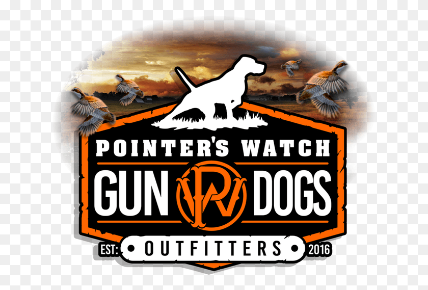 635x509 Пойнтерс Watch Gun Dogs Outfitters Охотничья Собака, Реклама, Птица, Животное Hd Png Скачать