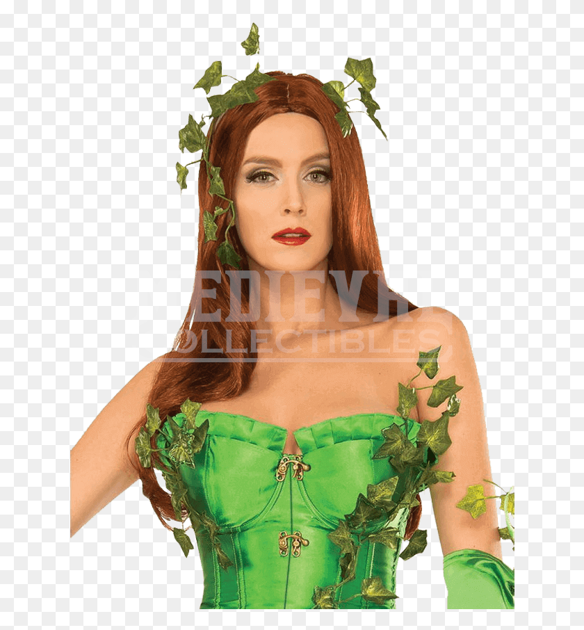 640x846 Poison Ivy Fancy Dress, Clothing, Apparel, Face HD PNG Download