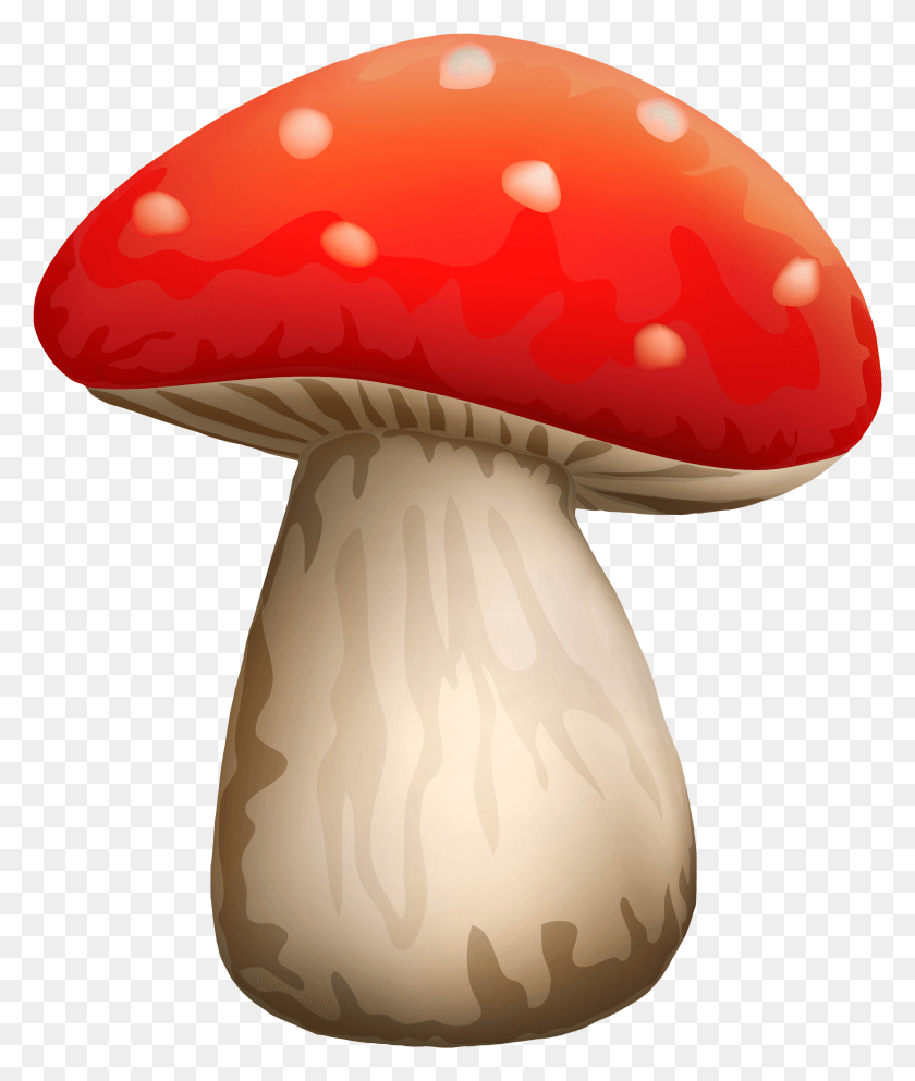 2891x3461 Poisonous Red Mushroom With White Dots Clipart Mushroom Clipart HD PNG Download