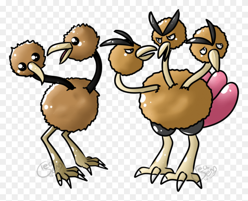 999x799 Pokmon Cartoon, Bird, Animal, Kiwi Bird HD PNG Download