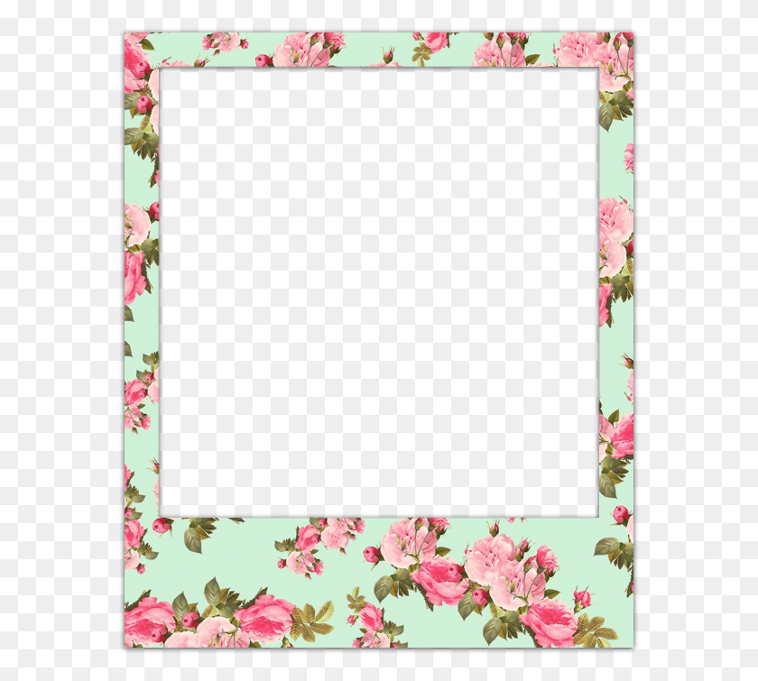 577x695 Poladroid Project The Easiest And Funniest Polaroid Molduras Polaroid, Plant, Flower, Blossom HD PNG Download
