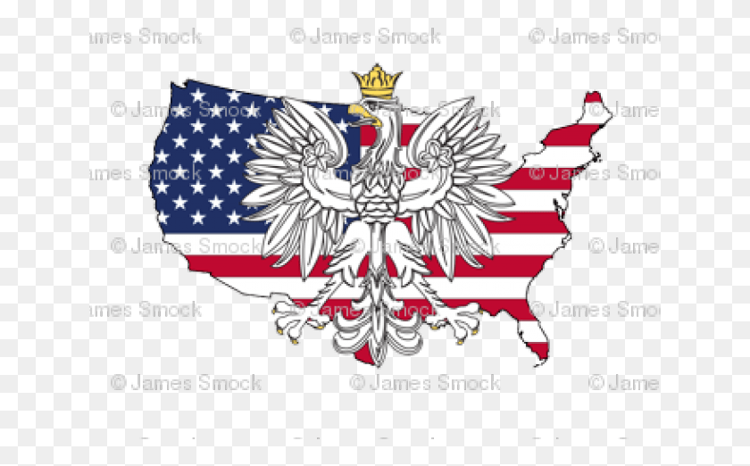 641x462 Польша Клипарт Американский Флаг Флаг Сша В Стране, Символ, Герб, Текст Hd Png Скачать