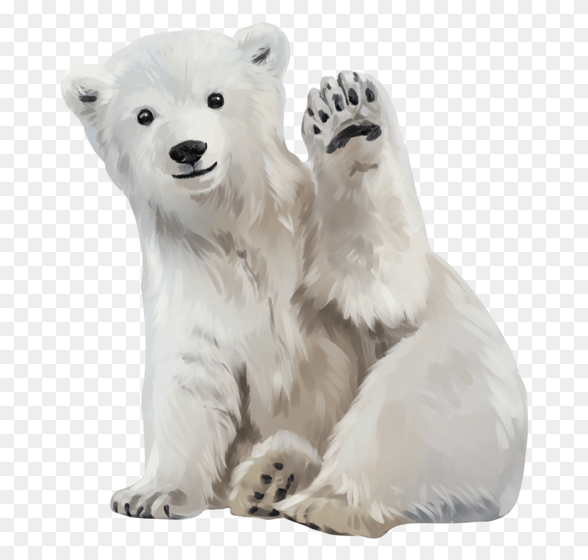 670x740 Белый Медведь Искусство, Медведь, Живая Природа, Млекопитающее Hd Png Скачать
