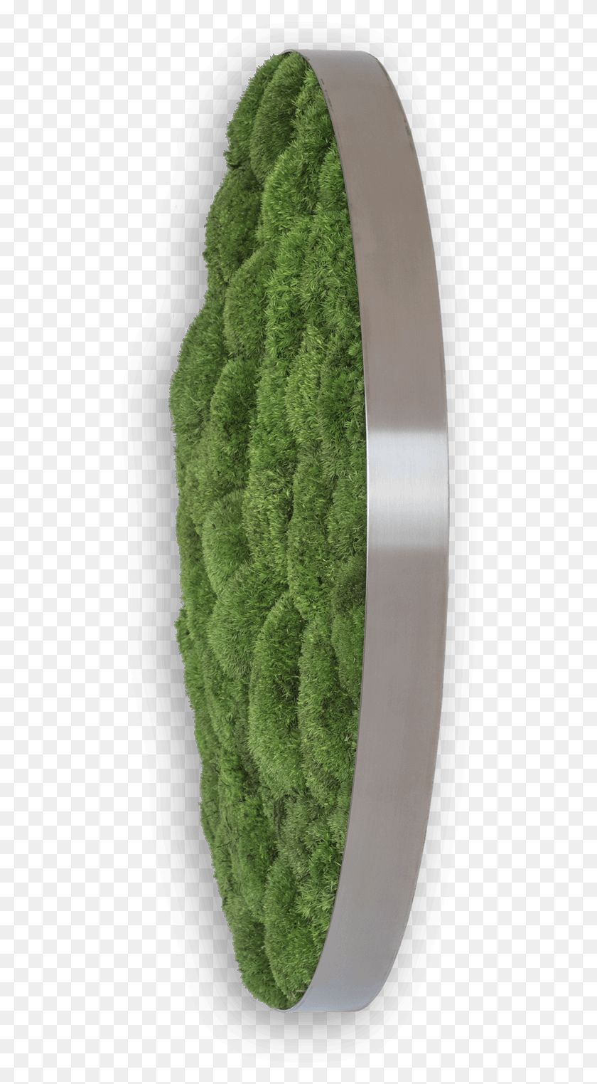 504x1463 Полюс Мха Круг 80См Искусственный Газон, Растение, Зеленый, Растительность Hd Png Скачать