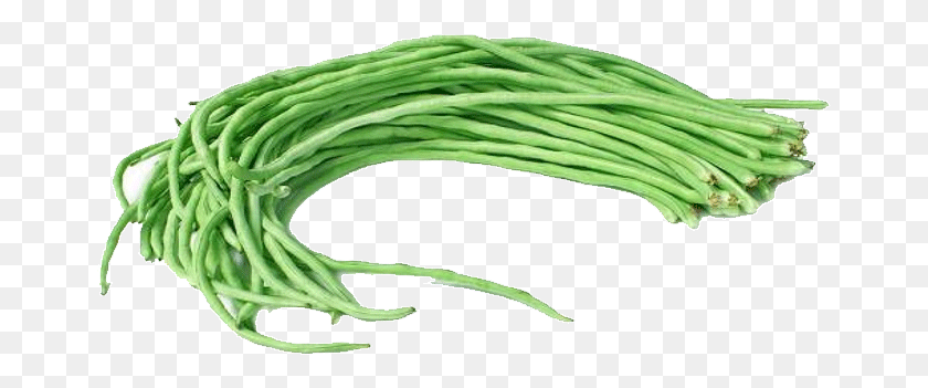 665x291 Pole Sitao Nombre Científico, Planta, Vegetal, Alimentos Hd Png