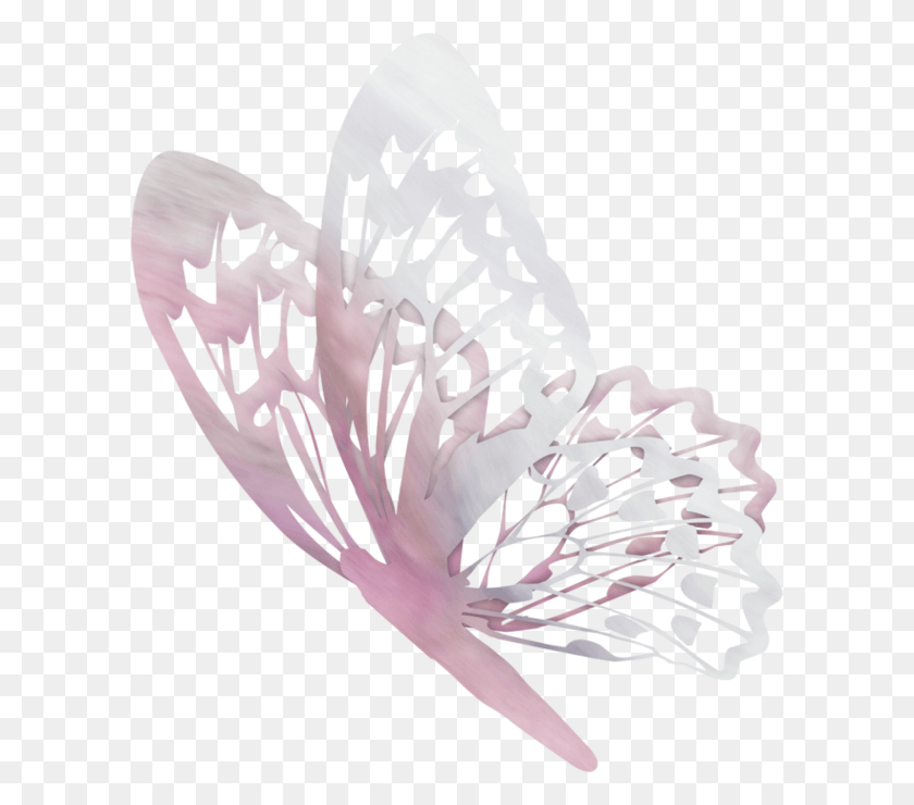 600x680 Polet Babochki Liked On Polyvore Featuring Butterflies Butterfly, Bird, Animal HD PNG Download