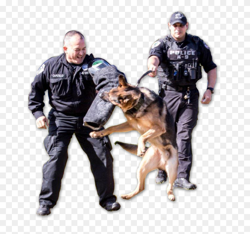 665x727 Police Dog, Person, Human, Police Dog HD PNG Download