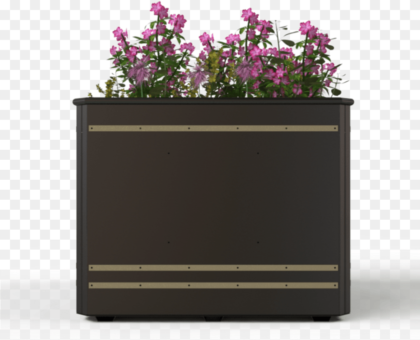 923x748 Policy Bellflower, Vase, Pottery, Potted Plant, Planter Sticker PNG