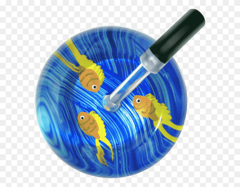 600x594 Pomacentridae, Animal, Fish, Paint Container HD PNG Download