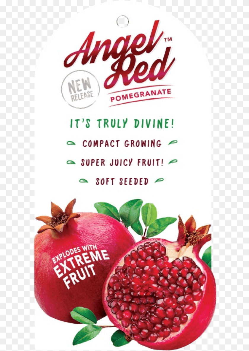 620x1182 Pomegranate Angel Red Z Natural Foods Pomegranate Juice Powder Organic, Food, Fruit, Plant, Produce Transparent PNG