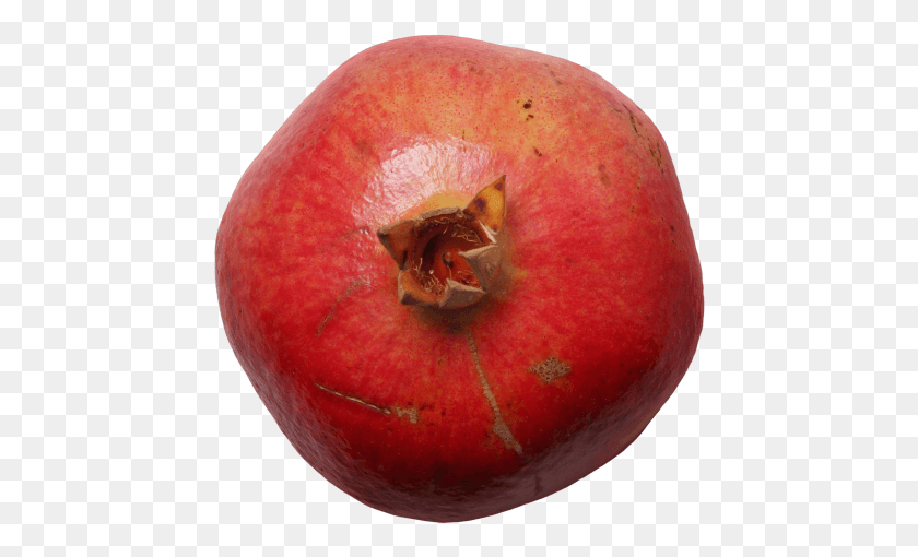 450x450 Pomegranate Pluot, Apple, Fruit, Plant HD PNG Download