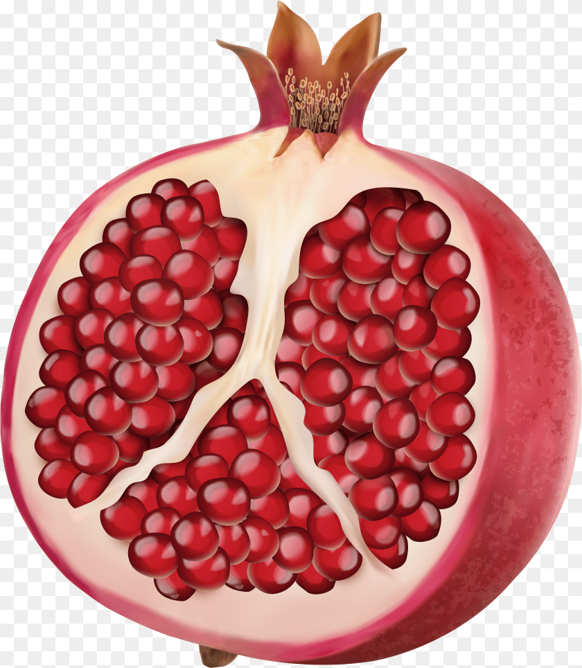 Pomegranate Vector Sticker PNG