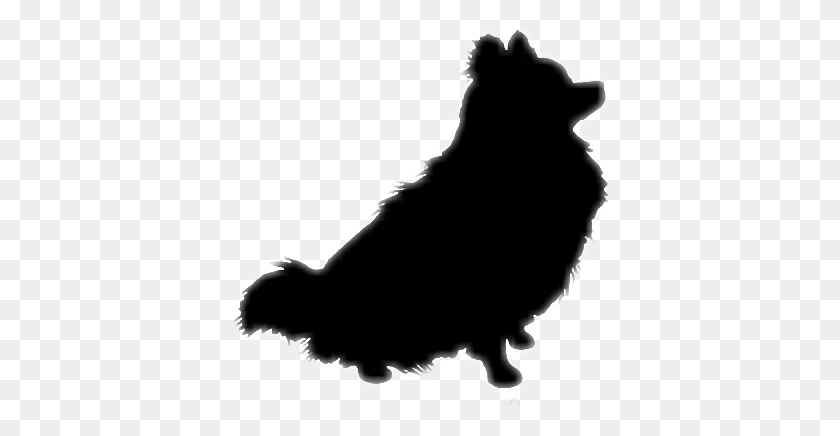376x376 Descargar Png / Pomeranian Silhouette Dog Pom Pomeranian Clip Art, Stencil, Persona Hd Png