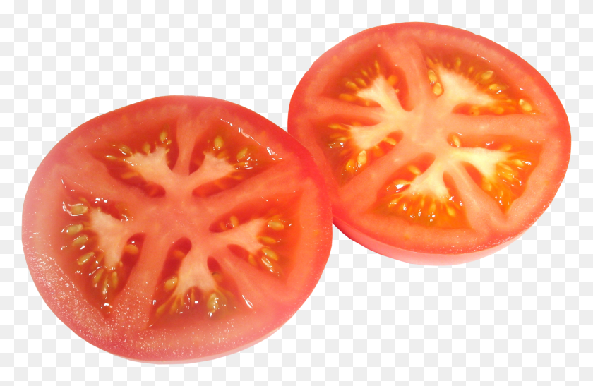 2363x1477 Pomidora, Plant, Ketchup HD PNG Download