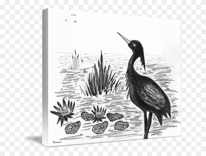 650x579 Pond Drawing Ink Stork, Bird, Animal, Crane Bird HD PNG Download